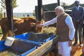 Modi to launch National Animal Disease Control Programme on 11 Sept