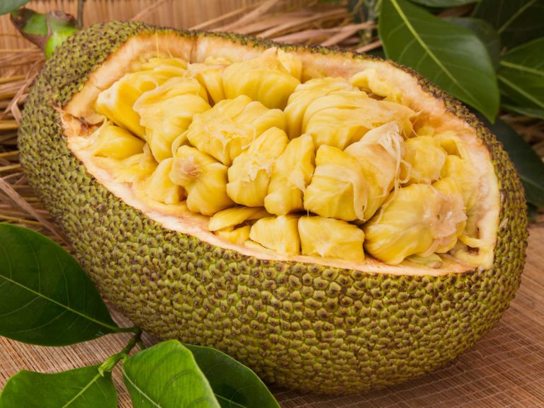 Covid-19: ‘Jackfruit’ can be useful to prevent coronavirus infection