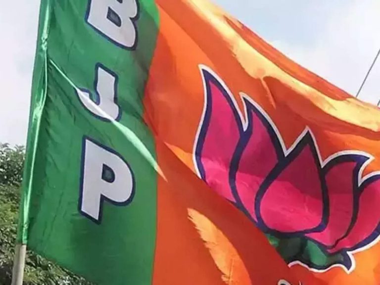 UP Municipal polls: Brahmins, Bania rule BJP’s mayor candidates list in UP
