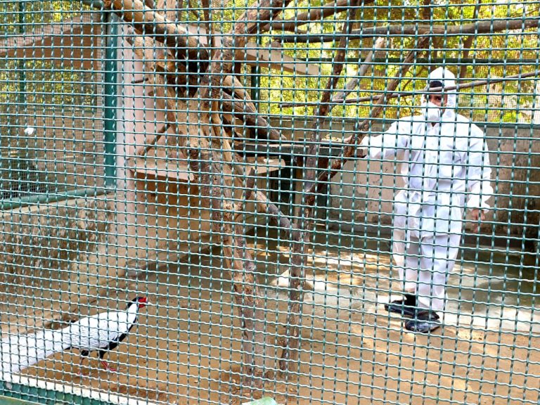 Bird enclosure in Lucknow Zoo completely closed for ...