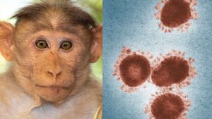 First suspected case of monkeypox reported in India