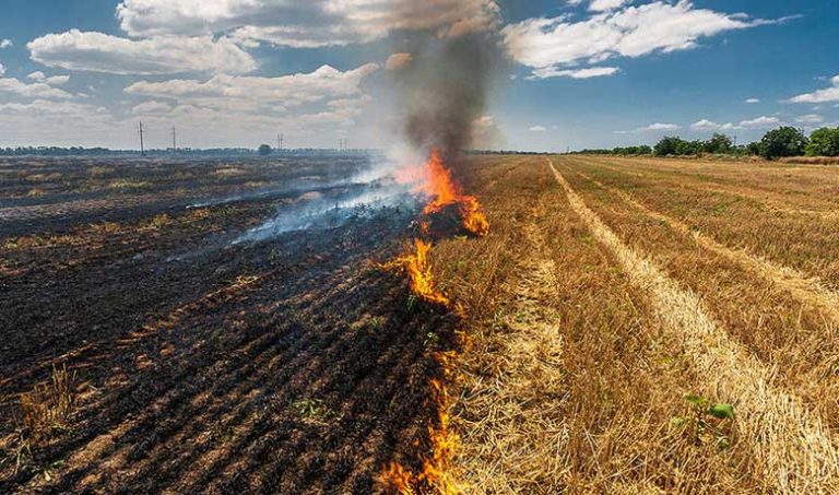 Yogi govt in alert mode on incidents of stubble burning