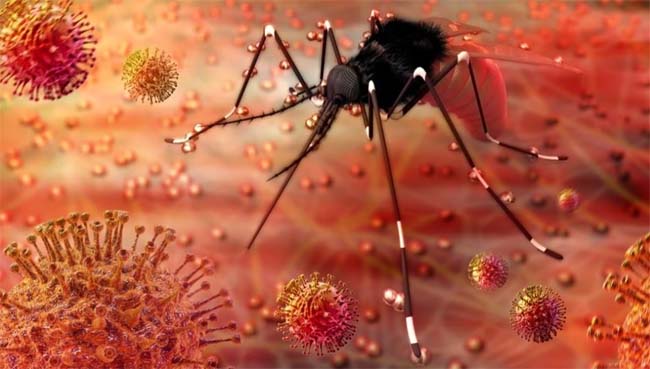 Doctor and his daughter found infected with Zika virus in Pune, administration on toes